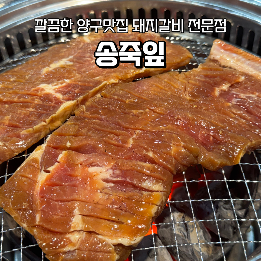 송죽잎 사진 1