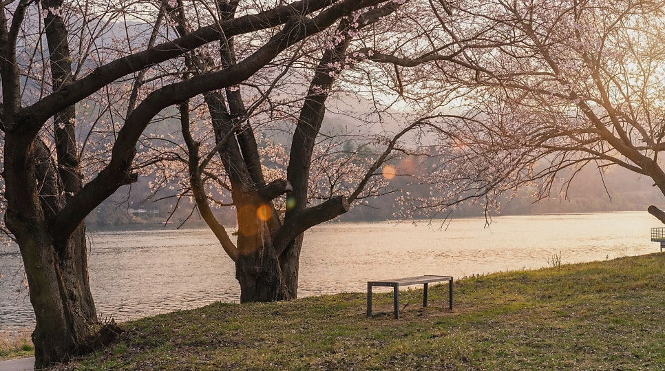 이오스펜션 사진 5