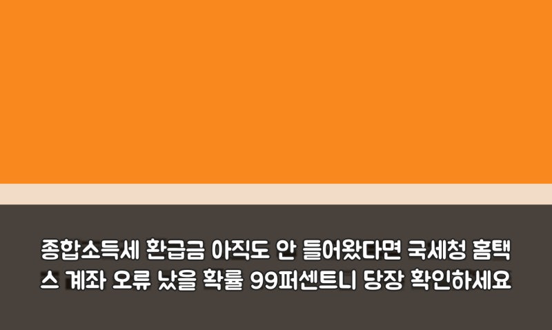 종합소득세 환급금 아직도 안 들어왔다면 국세청 홈택스 계좌 오류 났을 확률 99퍼센트니 당....
