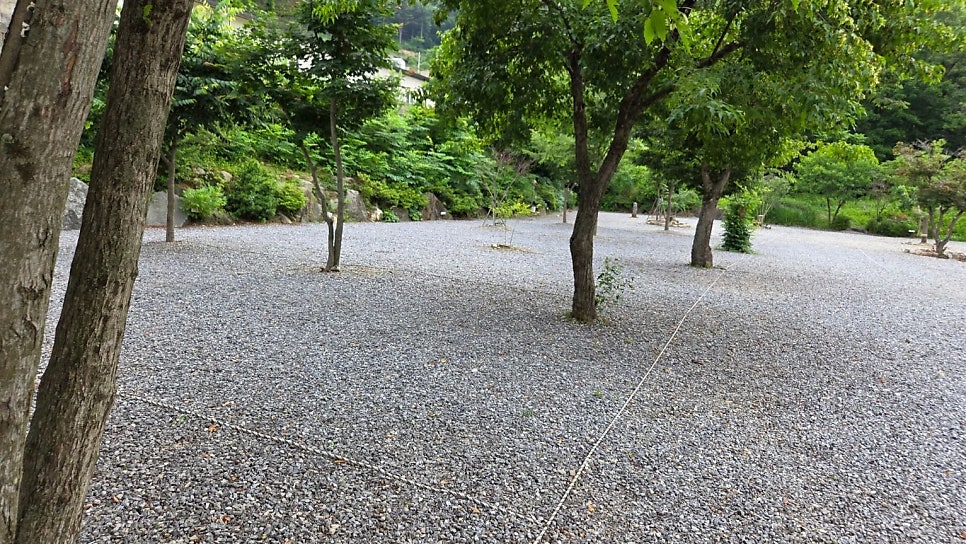 서후리캠핑장 사진 2