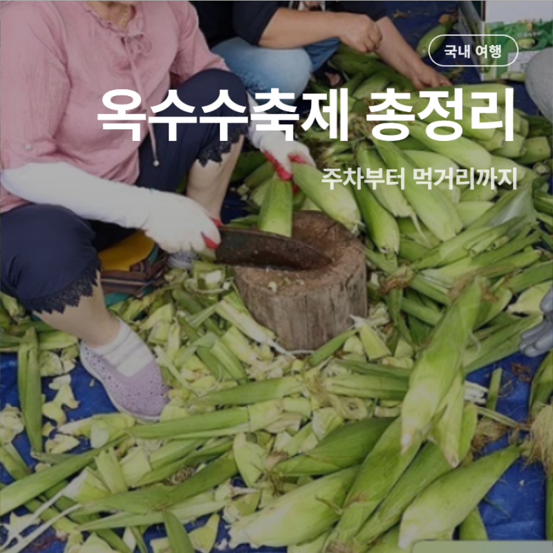 2026 홍천 옥수수축제 일정 주차 입장료 먹거리 준비물 총정리