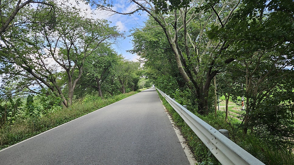 비비정이야기 사진 1