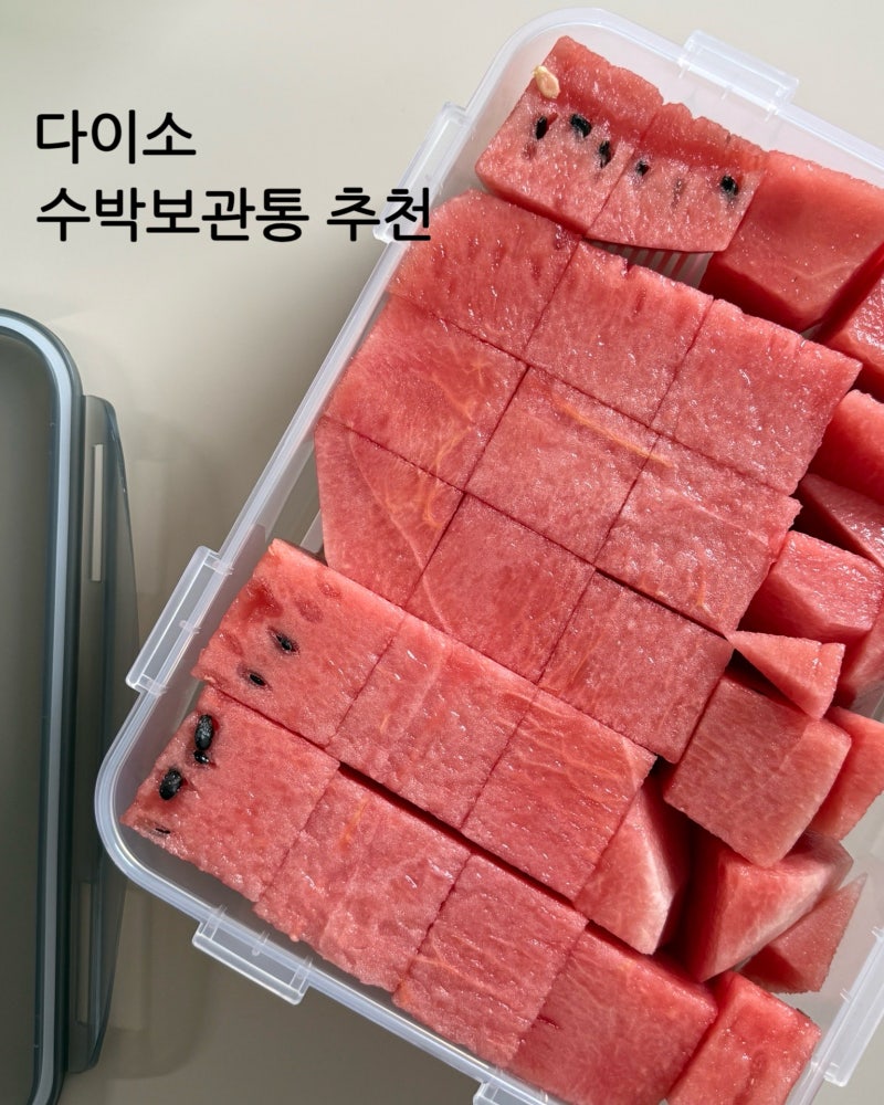 다이소 수박보관용기 추천! 후레쉬 직사각 3.9L 후기 (품번 1054185)