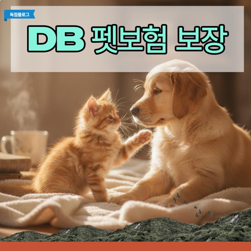 DB 펫보험 보장 범위와 현실적인 실비 정산금 계산법