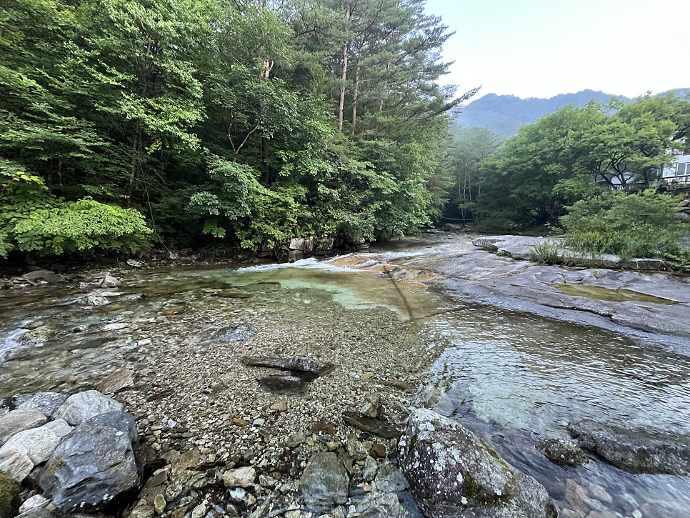 백년펜션 사진 4