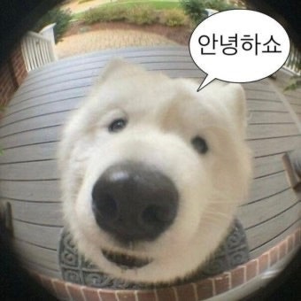 돈오돈국밥 시청점 사진 1