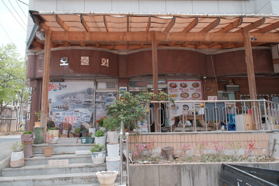 묵호물회 본점 사진 4