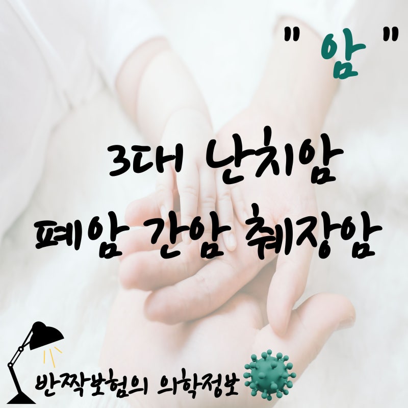 [암]3대 난치암 뜻과 생존율, 폐암 간암 췌장암 보험약관 확인법!