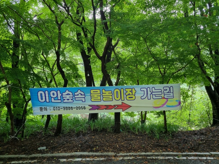이안숲속 사진 3
