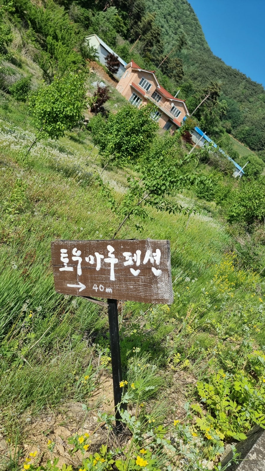 토우마루 사진 1