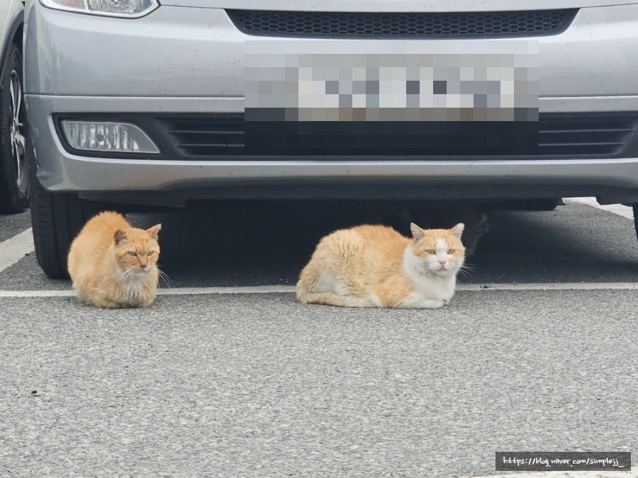 스테이미도 사진 1