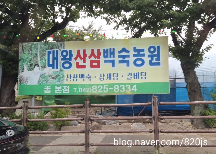 대왕산삼백숙농원 동학사점 사진 1