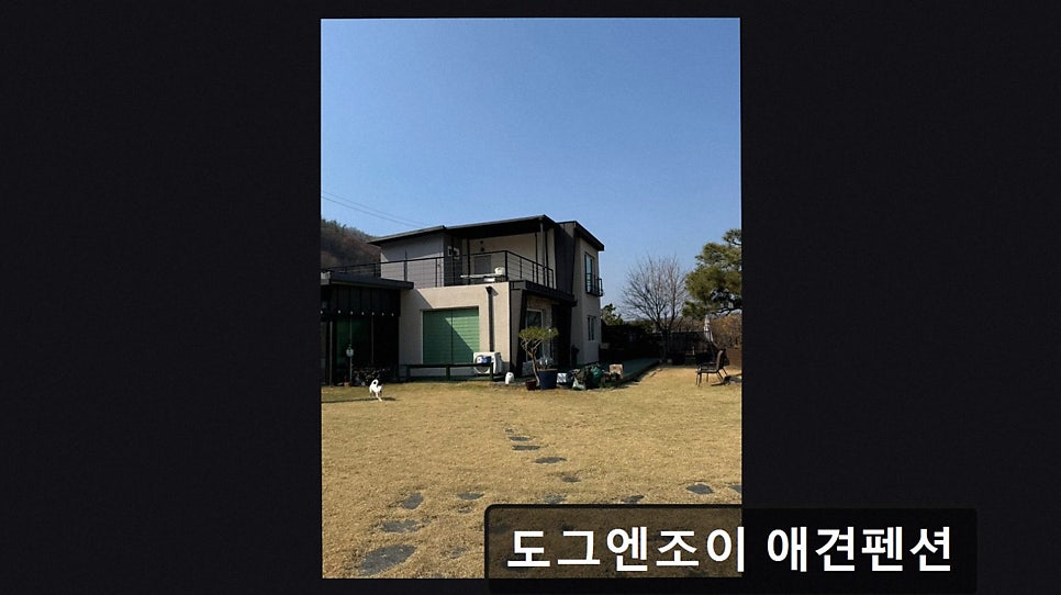 도그엔조이 사진 3