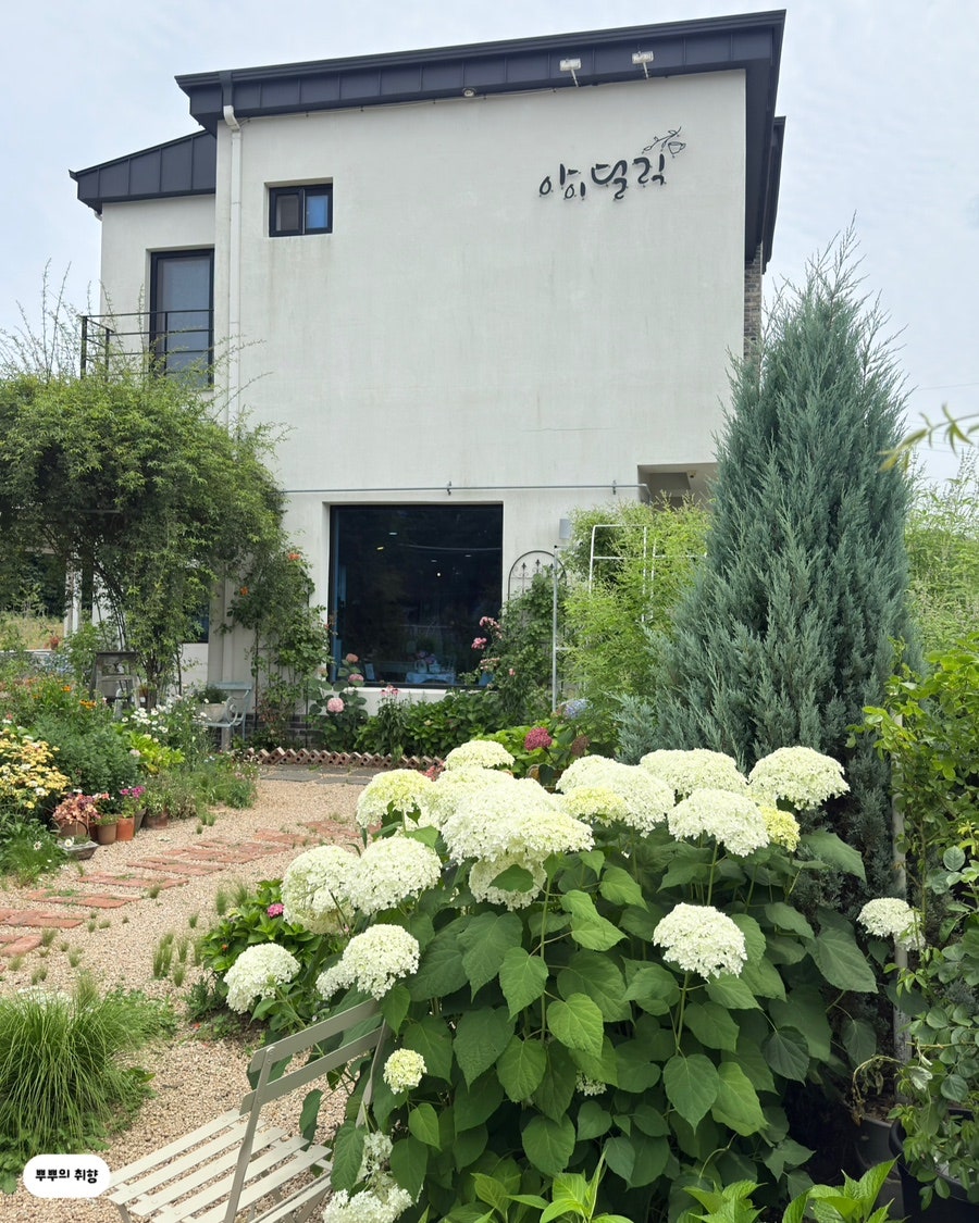 아이딜릭 사진 2
