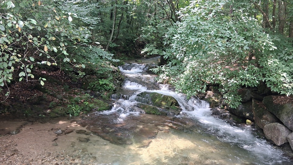봉미산 사진 3
