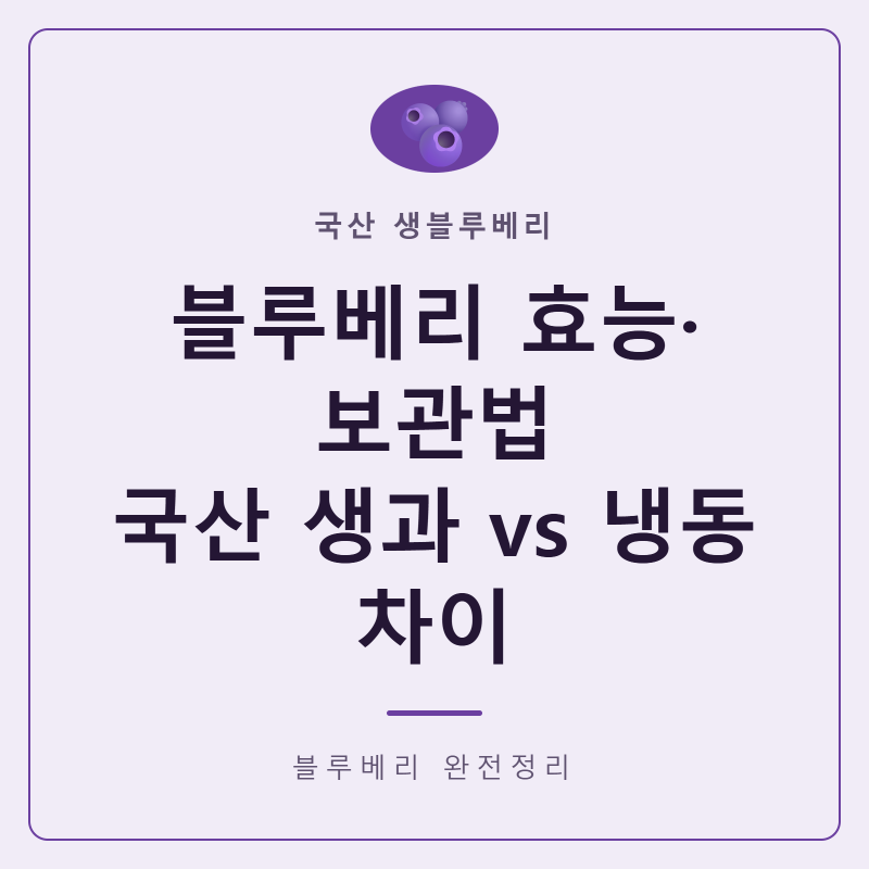 국산 생블루베리 효능 보관법 먹는법 냉동 블루베리와 차이 완전정리