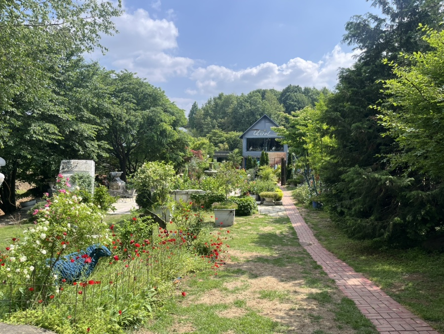 623돌짜장 사진 3