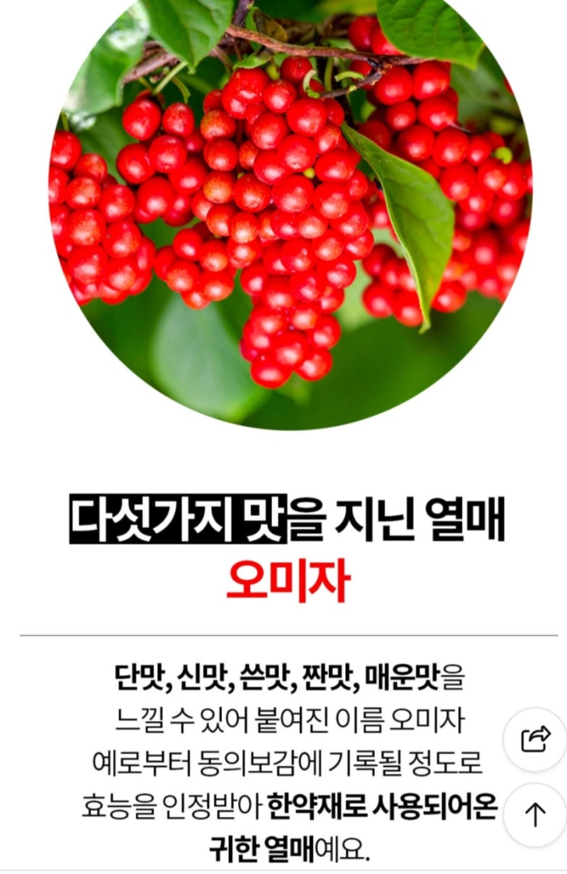 문경 오미자 원액 추천! 저온 추출로 더 진하고 안심할 수 있는 온 가족 건강 음료 (feat. 아이....