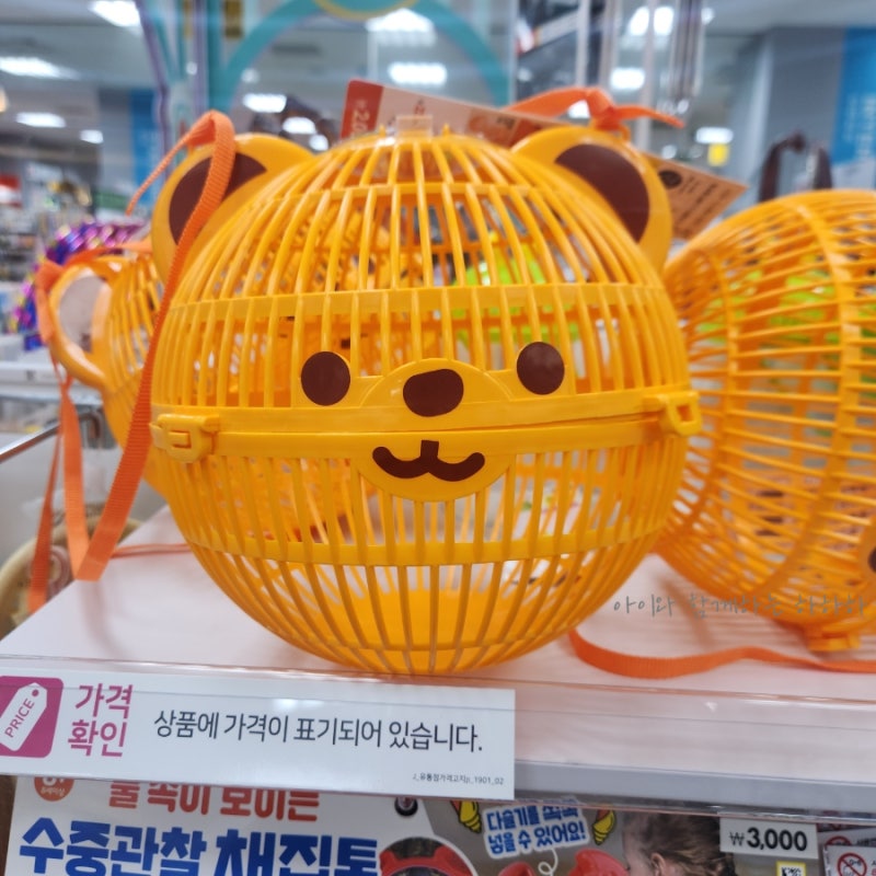 다이소 곤충채집함 채집망 통 들고 아이랑 계곡 준비물
