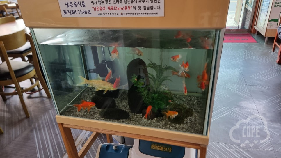 지호해물칼국수 사진 6