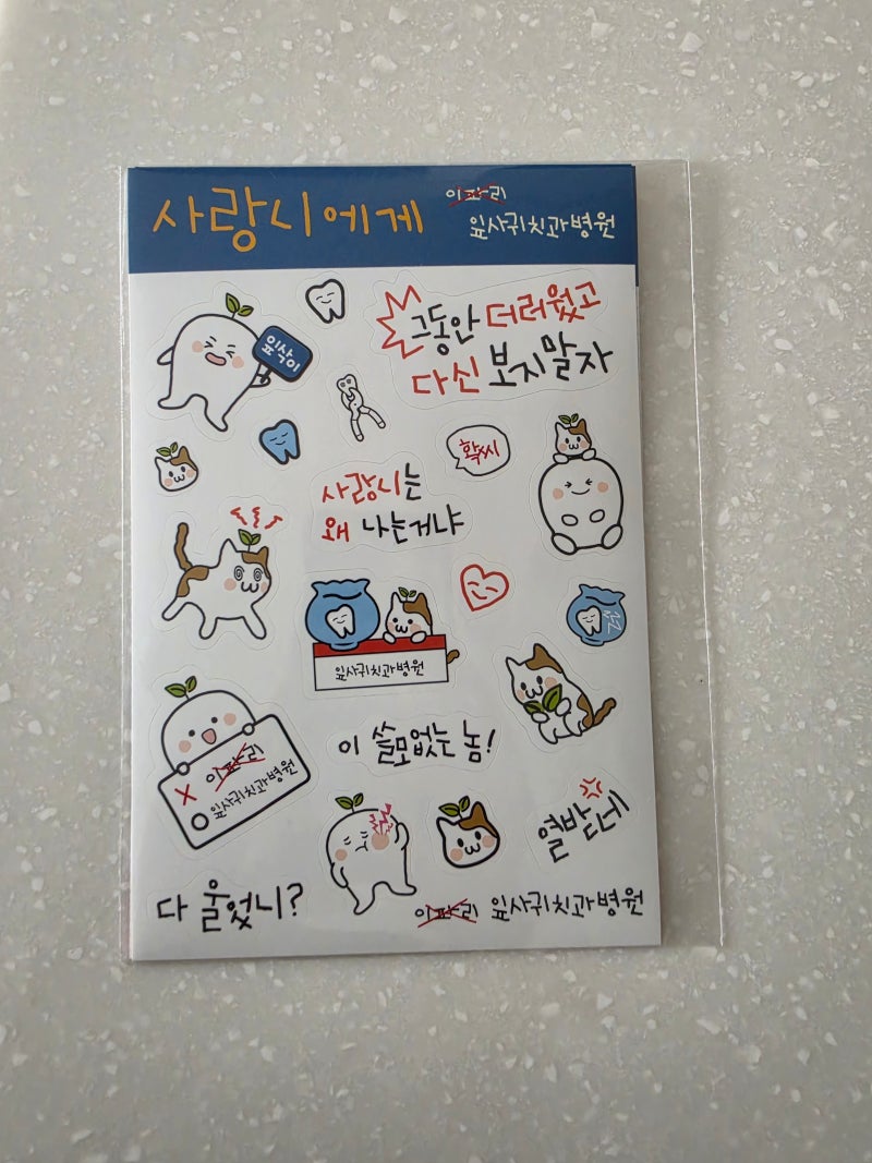 신촌 매복 사랑니 발치 후기｜잎사귀치과에서 CT 재촬영까지 솔직 후기
