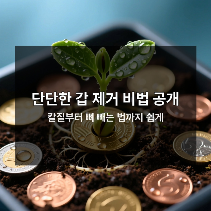 제철 갑오징어 손질법, 지금 안 배우면 식감 망친다