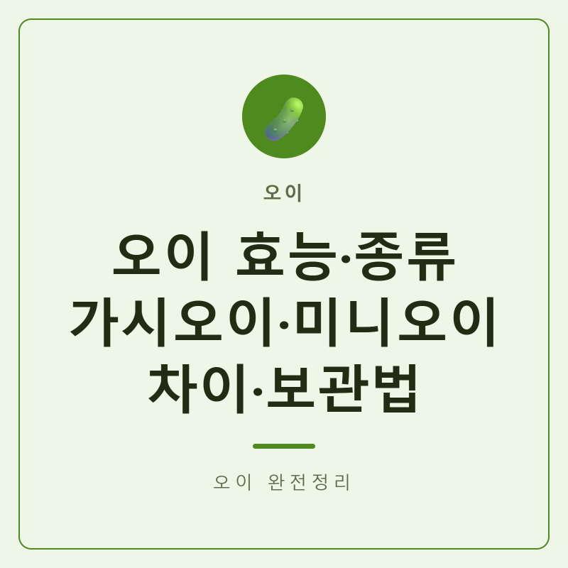 오이 효능 가시오이 미니오이 차이 먹는법 보관법 오이 종류 완전정리