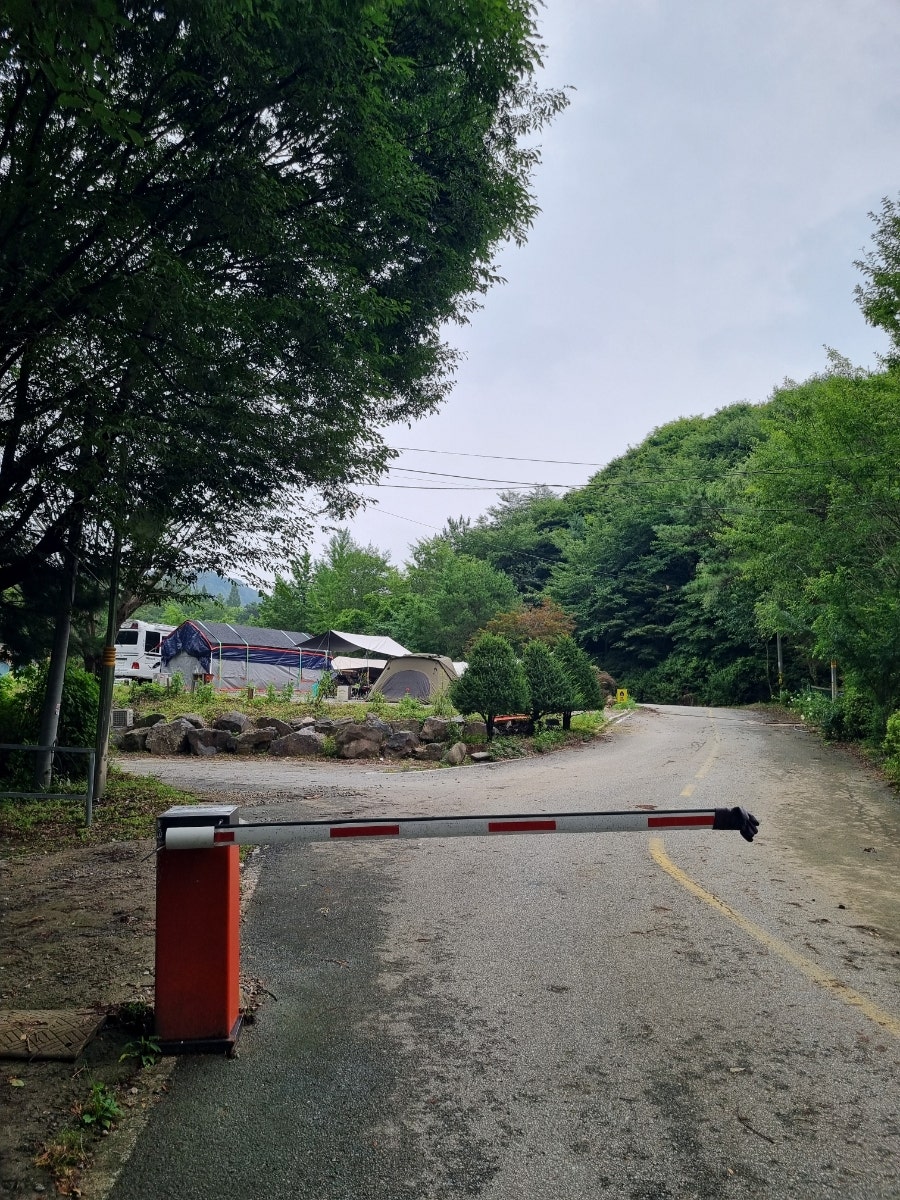 이안숲속 사진 4