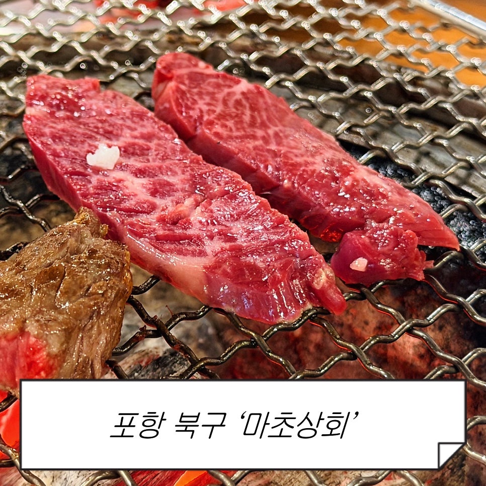 마초상회 사진 1