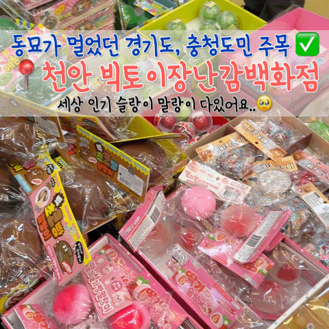 천안 말랑이 성지 빅토이장난감백화점, 인기 슬랑이 말랑이 만져보고 쓸어온 후기