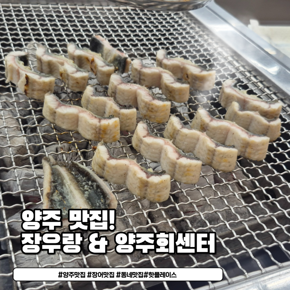 양주회센터 사진 1