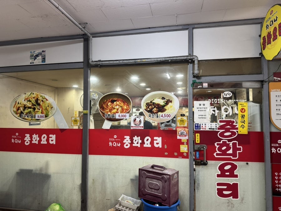 딕인차이나 사진 6