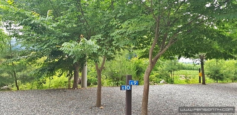 무릉도원 사진 6