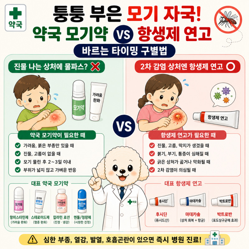 퉁퉁 부은 모기 자국! 약국 모기약 vs 항생제 연고 바르는 타이밍 구별법