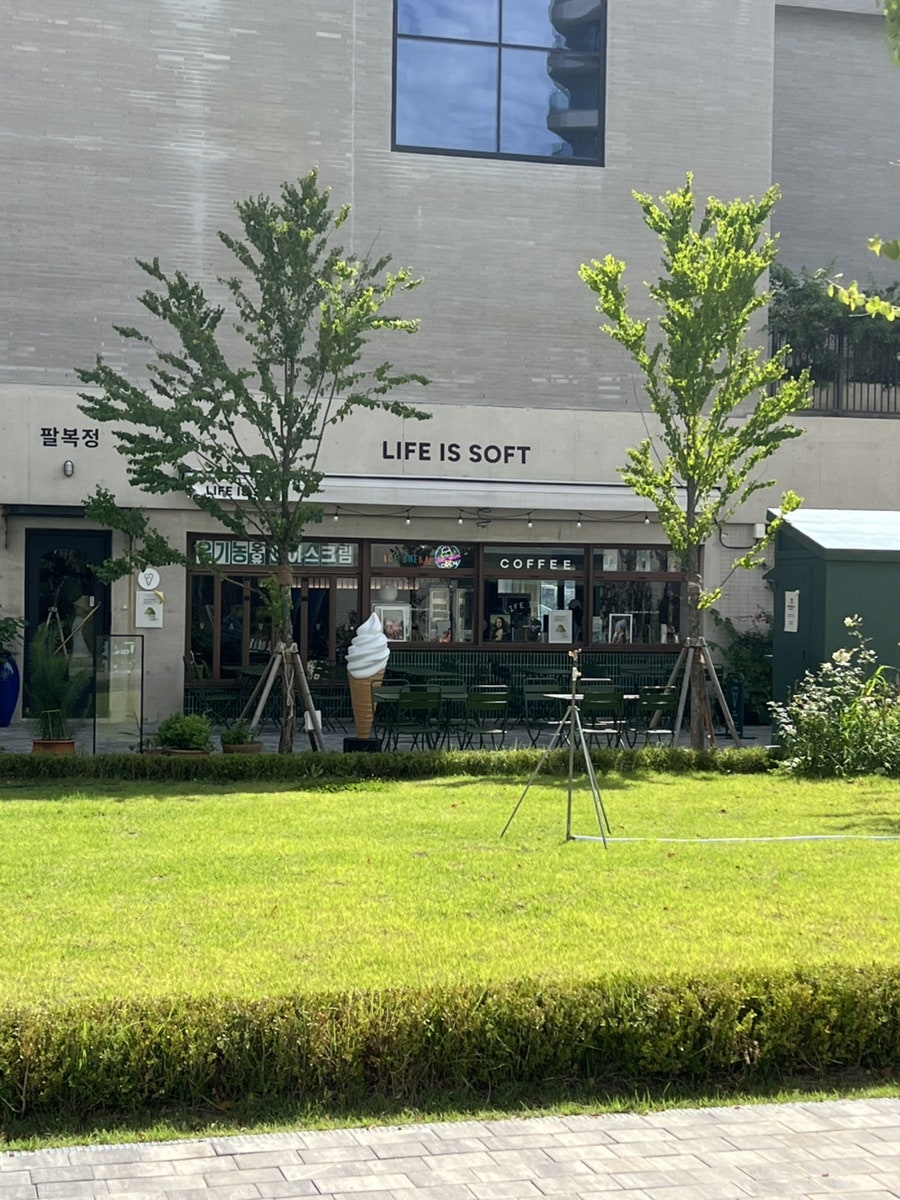 라이프 이즈 소프트 사진 5