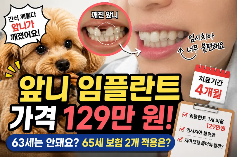 강아지 간식 깨물다 앞니 임플란트｜가격 129만 원, 치료기간 4개월과 임시치아 후기