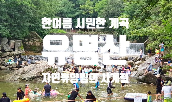 유명산(경기도 가평), 자연휴양림, 수도권 최고의 여름철 가족단위 계곡 피서지, 사계절 매력....