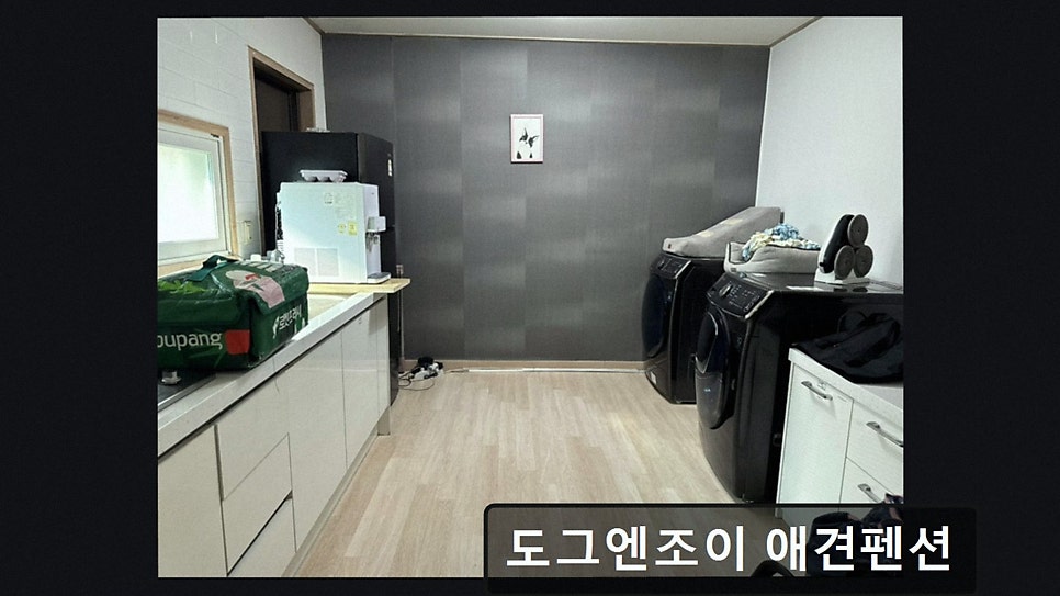 도그엔조이 사진 4