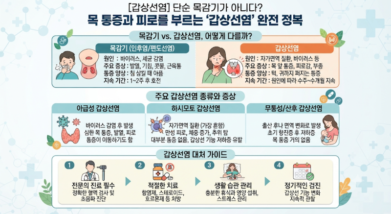 [갑상선염] 단순한 목감기가 아니다? 목 통증과 피로를 부르는 '갑상선염' 총정리