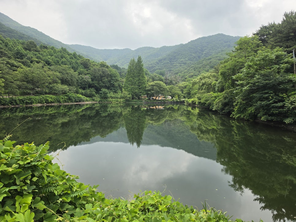 송곡지 사진 5