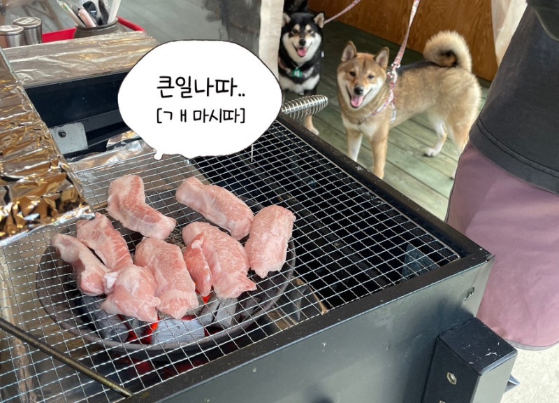 양평 애견동반식당 추천 바베큐팩토리 양평점에서 캠핑 감성 제대로