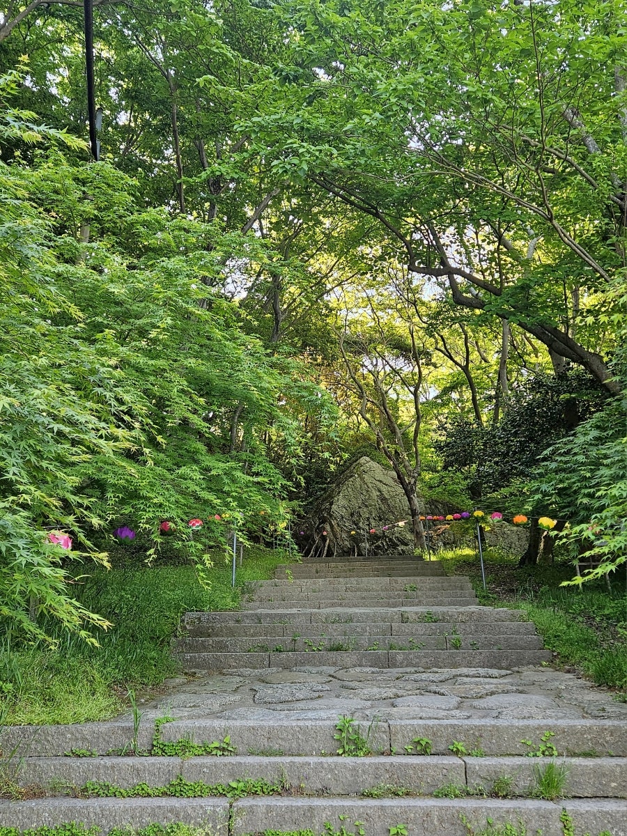 달마고도 사진 3