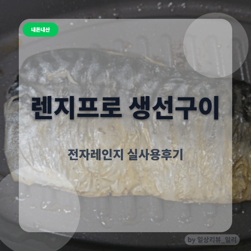 [내돈내산] 렌지프로 실제사용후기｜전자레인지로도 후라이팬처럼 생선구이 가능할까?!
