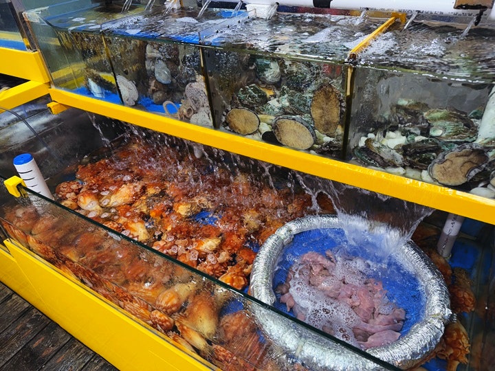 성원유통 사진 4