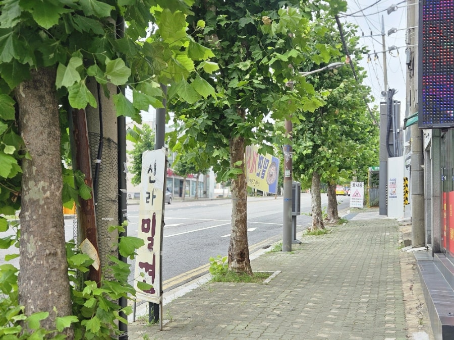 신라밀면 사진 3