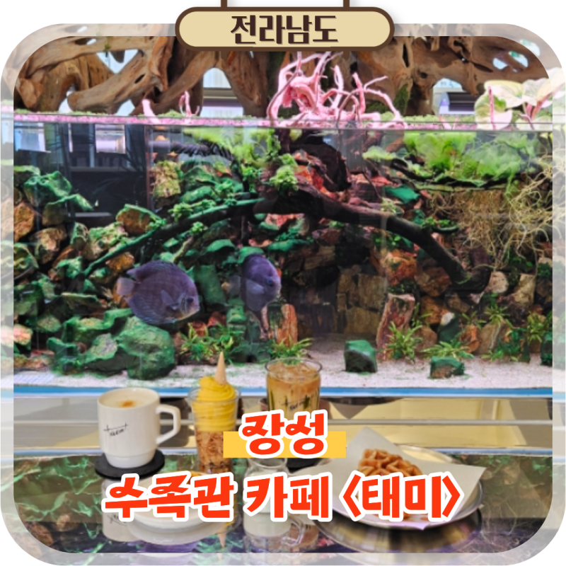 전남 여행 장성 가볼만한곳 광주근교 이색 수족관 카페 태미