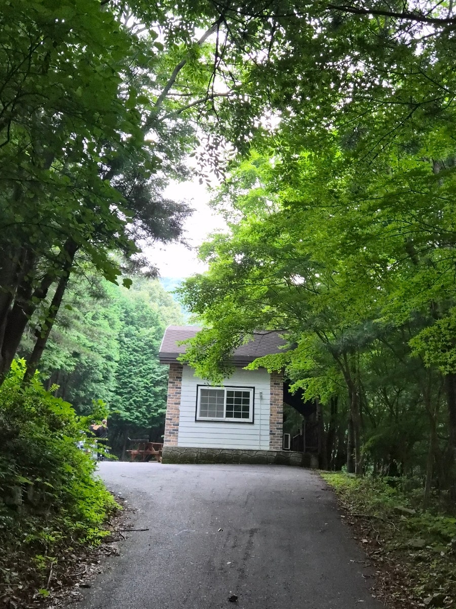 무등산 편백자연휴양림 사진 2