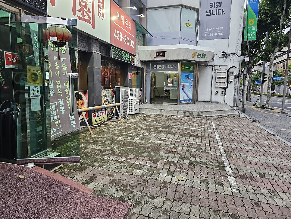 홍원 사진 3