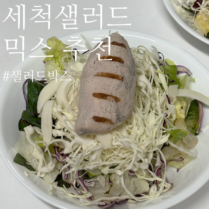 세척 샐러드 믹스 ㅣ 샐러드박스로 간편하게 즐기는 샐러드야채