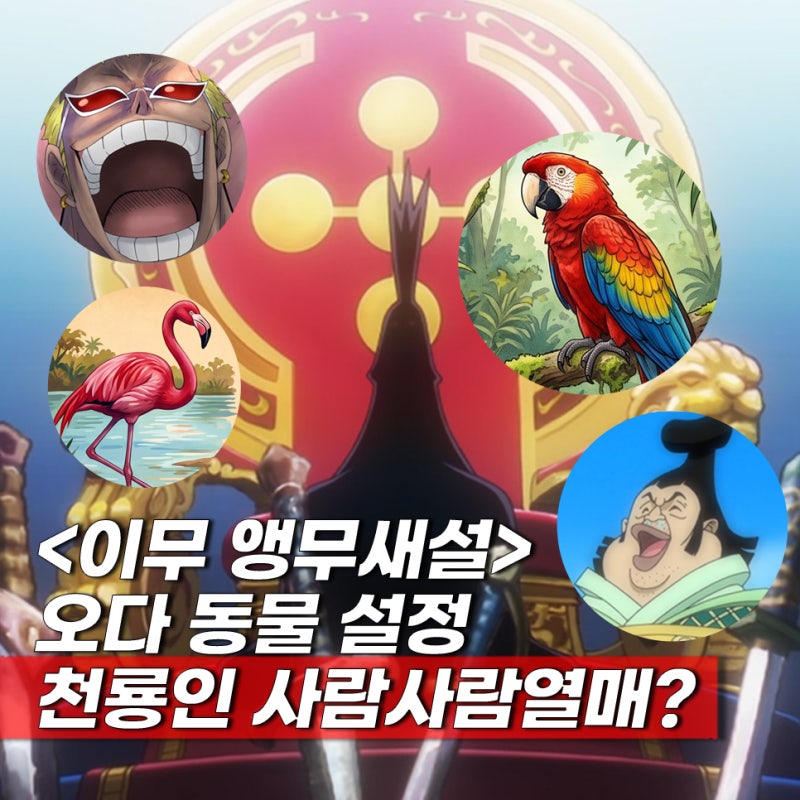 이무(임) 앵무새 원피스 동물설정 공백의 100년 총정리